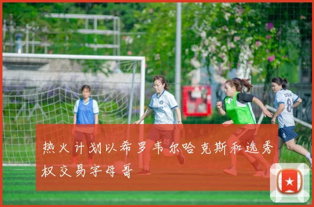 热火计划以希罗韦尔哈克斯和选秀权交易字母哥