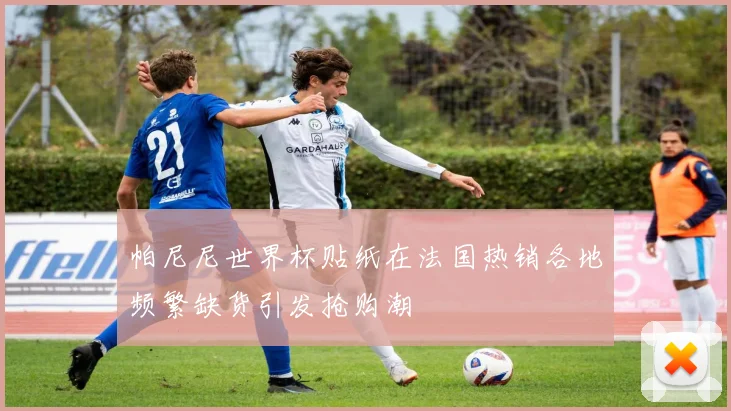 帕尼尼世界杯贴纸在法国热销各地频繁缺货引发抢购潮