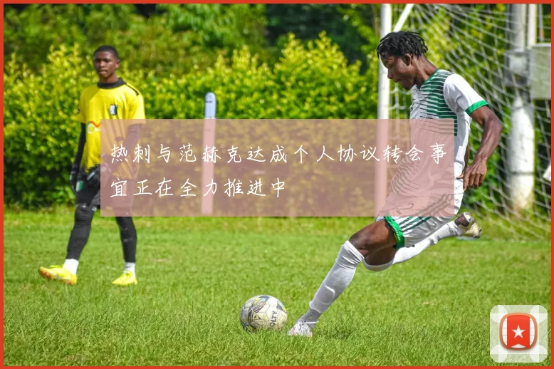 热刺与范赫克达成个人协议转会事宜正在全力推进中