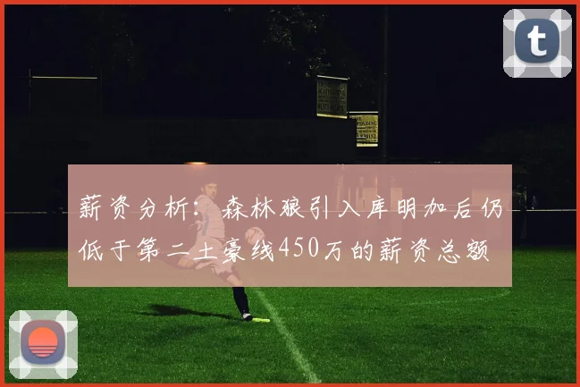 薪资分析:森林狼引入库明加后仍低于第二土豪线450万的薪资总额